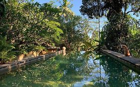Sri Yoga Shala Acomodação Com Café Da Manhã