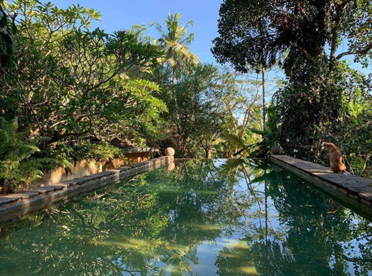 Sri Yoga Shala Unawatuna Exterior foto